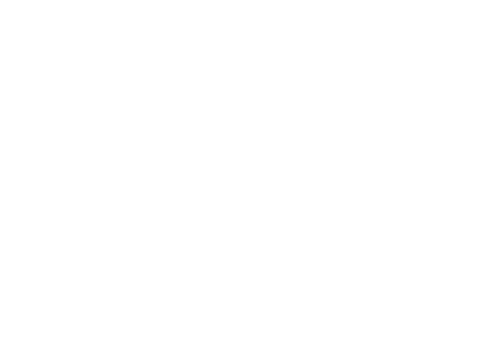 Cool Kids Summer – Walt Disney World